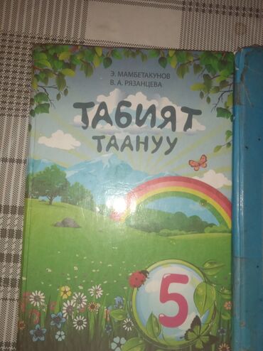 продаю чайхану: Павилон сатылат абалы жакшы ичинде полкплар бар кандиор бар и