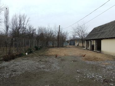 Həyət evləri və villaların satışı: 4 otaqlı, 125 kv. m, Kredit yoxdur, Yeni təmirli — 8