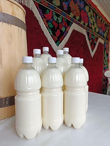 молоко бишкек: Нарындын таза, нукура бал кымызы. Шаар ичи 5л өйдө жеткизүү бекер — 1