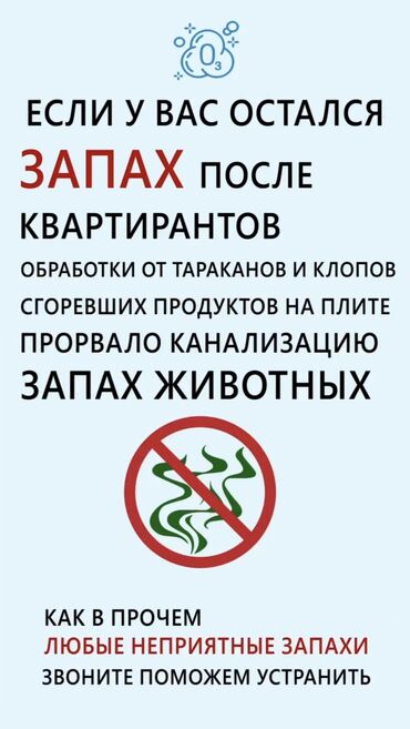 бишкек клининг: Удаление любых неприятных запахов ( более шести лет опыта) в