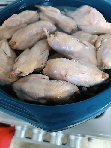 Перепелка: Перепела для гриля и шашлыка мясистые тушки. Центр города! — 1