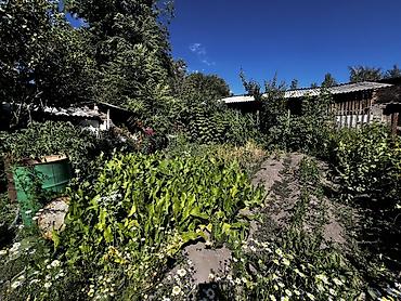 70 сом: В городе Талас продаются два дома на участке 13 соток на центральной — 7