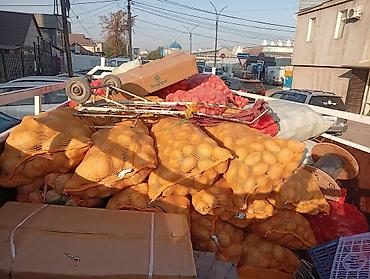 катаифи бишкек: Картошка Джелли, Дүң — 1