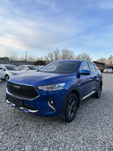 Другие автомобили: Продаю HAVAL F7 2019 год. Обьем 1.5 турбо Камера 360 Свежепригнан — 2