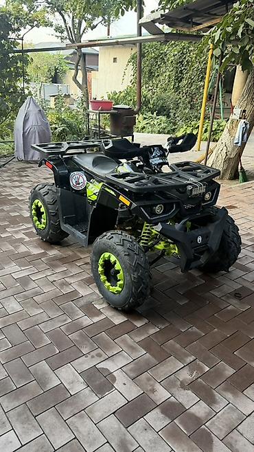 квадроцикл 200 кубиков: Детский/подростковый квадроцикл Coleman AT200 (серия Offroad) - Тип — 1