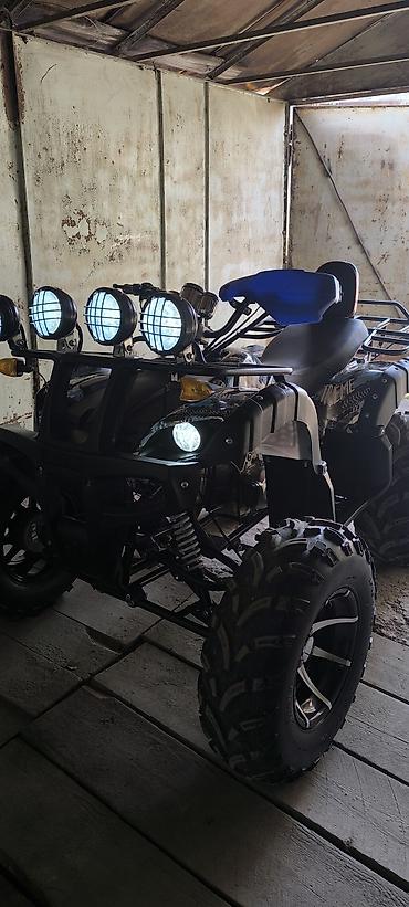 Квадроциклы: Квадроцикл ATV (двухместный), внедорожный. Основные характеристики и — 1