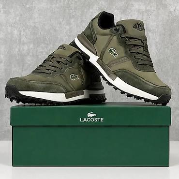 профессиональное окрашивание волос: Мужские кроссовки, 42, Lacoste, Новый — 2