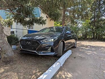 sonata k5: Hyundai Sonata: 2018 г., 2 л, Автомат, Бензин, Седан — 1