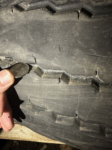 Шины: 385/65/22.5 — 7