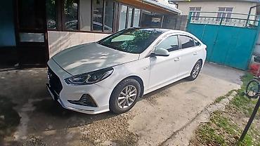 краски на авто: Hyundai Sonata: 2019 г., Седан — 4