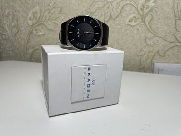 сумка холодильник купить в бишкеке: Классикалык сааттар саат, Skagen, Дания, Эркектердики, Колдонулган