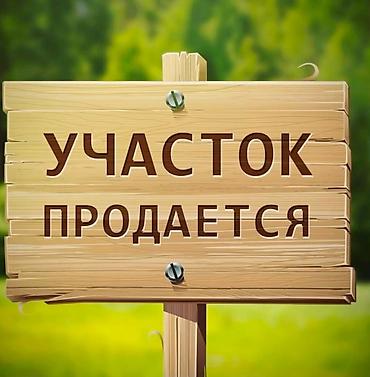 четырех: 8 соток, Для бизнеса — 1