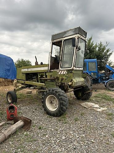 traktor altlıqlı bej bosonojkalar: Özünüidarə olunan biçən: Fortschritt E 303 (saman/ot biçini üçün) - — 3