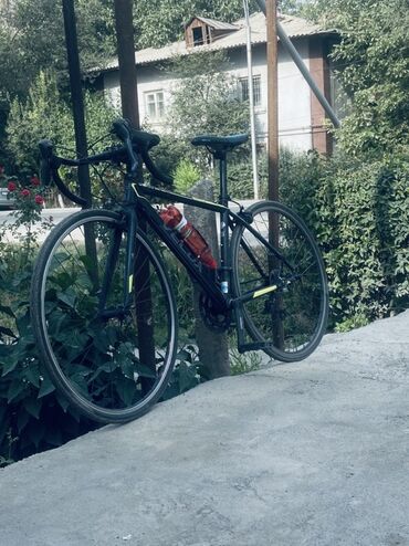 велосипед trinx m136: Шоссе велосипеди, Alton, Велосипед алкагы M (156 - 178 см), Колдонулган