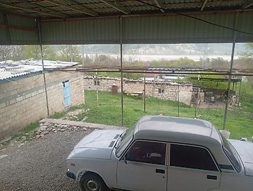 Torpaq sahələrinin satışı: Kənd təsərrüfatı — 6