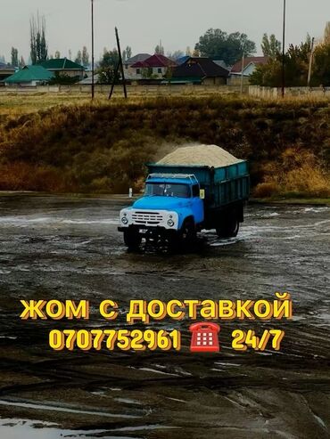 молочные коровы: Жом с доставкой 24/7 - Предлагается жом (сахарная свекловичная
