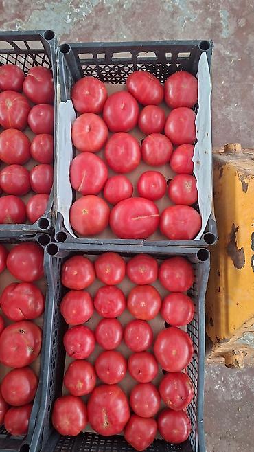 daş duz satışı: Yerli mehsullardir 1 kaset 3.50 dir. Kasetinde biri 9 kilodur. Yeni — 5