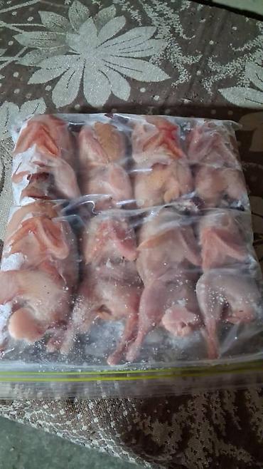 зоомагазин с животными: Продаю мясо перепелов 1кг 750сом. а также есть яйца инкубационные и — 3