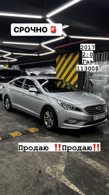 камера r16: Hyundai Sonata: 2017 г., 2 л, Автомат, Газ, Седан