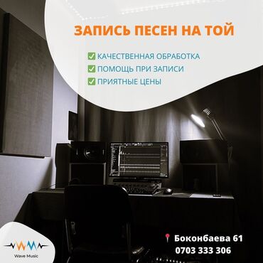 мини микрофон: Студия звукозаписи Wave Music предоставляет *Запись голоса