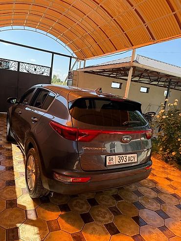 Транспорт: Kia Sportage: 2018 г., 2.4 л, Автомат, Бензин, Кроссовер — 3