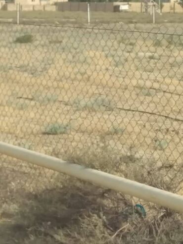 Torpaq sahələrinin satışı: 1100 sot, Kənd təsərrüfatı, Barter mümkündür, Bələdiyyə — 2