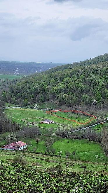 vendam: 5 sot, Tikinti, Mülkiyyətçi — 3