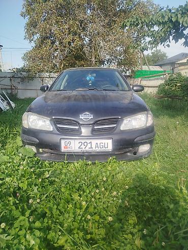 водный банан: Nissan Almera Tino: 2002 г., 2.2 л, Хэтчбэк — 2