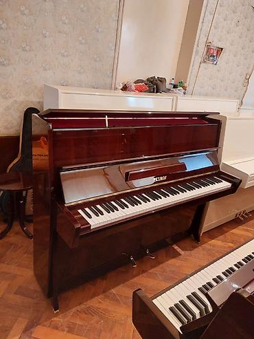 Musiqi alətləri: Piano, Petrof, Akustik, Yeni, Pulsuz çatdırılma — 2