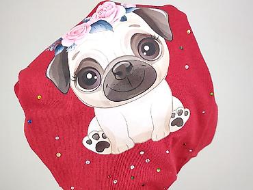koszulki pitbulla: T-shirt damski, rozmiar 2XL — 5