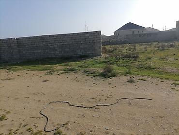 kend ehmedli: Tikinti, Mülkiyyətçi, Kupça (Çıxarış) — 5