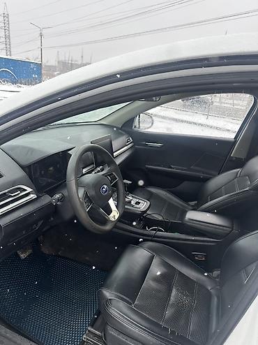 BYD: BYD E2: 2020 г., Робот, Электромобиль, Хэтчбэк — 9