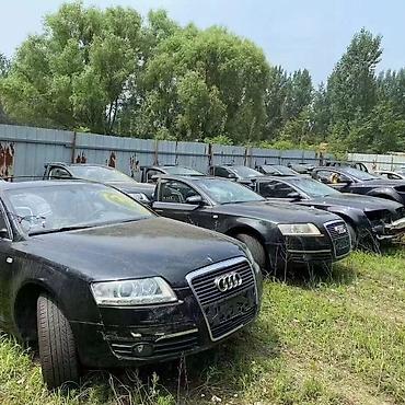 Ноускат, хафкат: Audi — 1