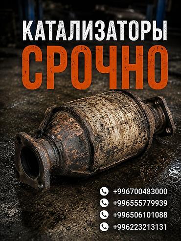 step rf3: Срочная услуга по работе с автомобильными катализаторами. - — 1