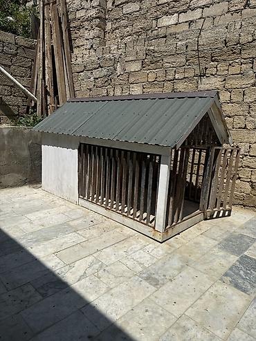 ağ itlər: Böyük ölçülü it evi və açıq volyer - Karkas: qalın taxta — 1