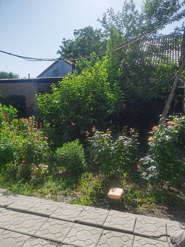 Продажа домов: Дом, 1200 м², 4 комнаты, Собственник, Косметический ремонт — 7