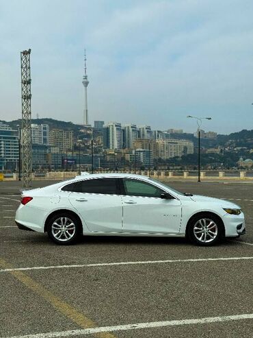 Chevrolet: Chevrolet Malibu: 1.5 l | 2017 il 143300 km Sedan — 13