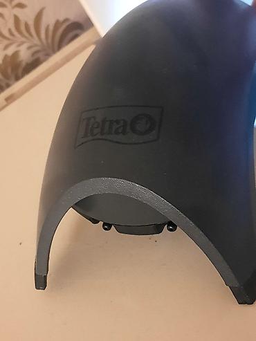 beta balığı qiymət: Mebelle dest satilir filtr tetra tech 1200 qizdirici tetra 300w hava — 3