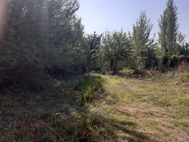 fay fay: 6 sot, Kənd təsərrüfatı, Mülkiyyətçi, Kupça (Çıxarış)