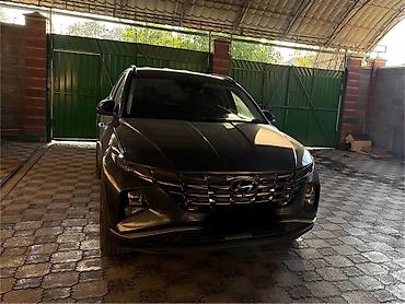 2023: Hyundai Tucson: 2023 г., 1.6 л, Автомат, Бензин, Кроссовер — 4