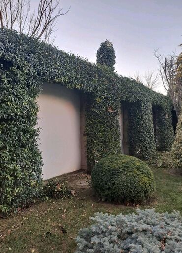 Landşaft işləri: Bağbanam kime bağban lazımdırsa buyura biler — 7