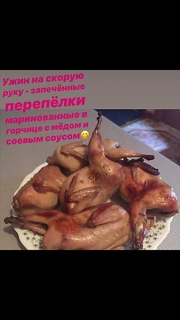 кунай минато: Продаю суточных перепелят Техас преимущественно и немного Феникс под — 5