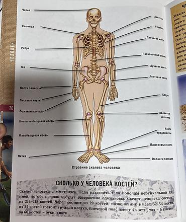 Ensiklopediyalar: Məhsul: Uşaq ensiklopediyası – “Современная энциклопедия для девочек и — 5