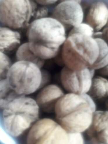 Сухофрукты, орехи, снеки: Жангак сатамын.базаркоргон районунан.60 сомдон кг. 10 тонна бар