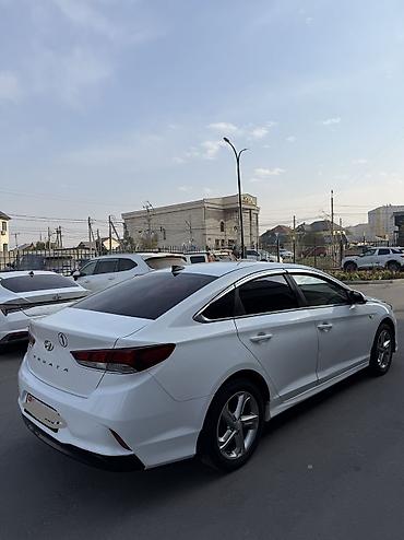 sonata hybrid: Hyundai Sonata: 2020 г., 2 л, Автомат, Газ, Седан — 6