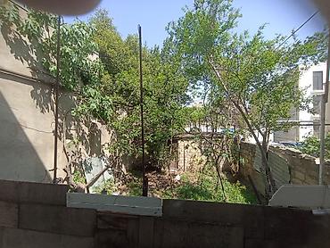mida satis: 1 sot, Mülkiyyətçi — 4