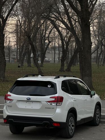 Subaru: Subaru Forester: 2022 г., 2.5 л, Автомат, Бензин, Кроссовер — 9