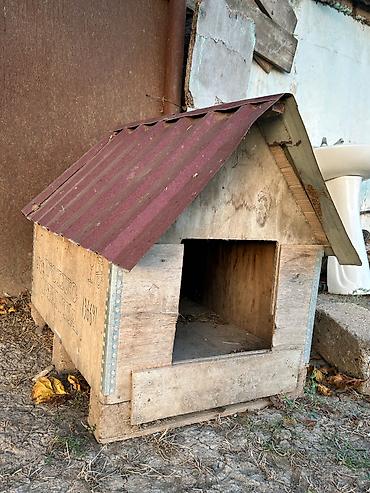 it oyuncaqlari: İt yuvası 1m uzunu eni 30santi falandı — 2