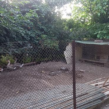 Продажа дач: Продаю домрасположен в с.Беш кунгей,Ст"Трудовой отдых" 67,красная — 10