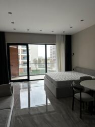 Günlük kirayə mənzillər: 1 otaqlı — 2